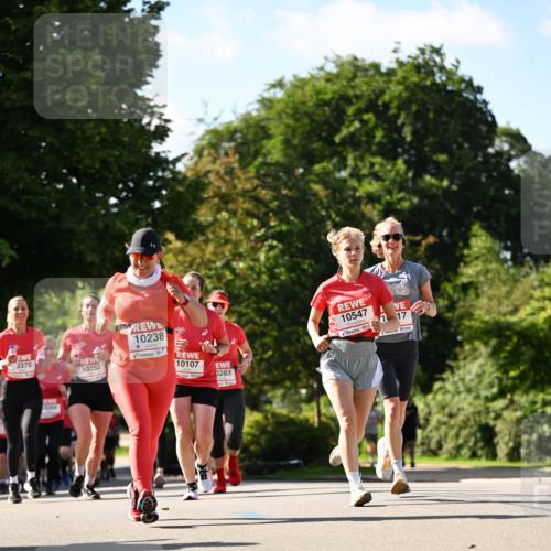08.06.2024 - REWE Women's Run Dr. Thomas Lammeyer http://msf.ph/oto/6243553 09.06.2024 09:18:36 Laufen 10238, 370, 10352, 10107, 0283, 10264, 10547, 1, 17 meine-sportfotos.de