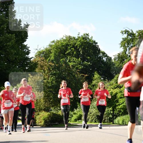 08.06.2024 - REWE Women's Run Dr. Thomas Lammeyer http://msf.ph/oto/6243757 09.06.2024 09:19:12 Laufen 10657, 717, 10618, 10400, 10145, 10562 meine-sportfotos.de
