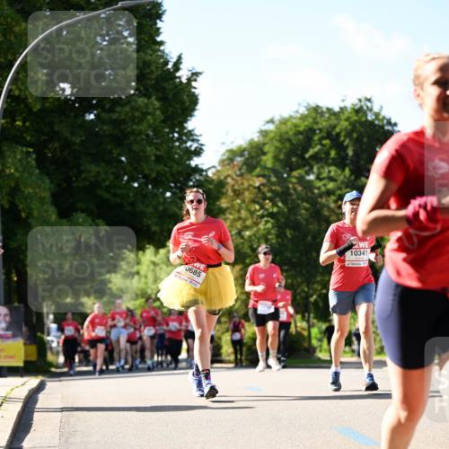 08.06.2024 - REWE Women's Run Dr. Thomas Lammeyer http://msf.ph/oto/6244175 09.06.2024 09:20:18 Laufen 10685, 10341 meine-sportfotos.de