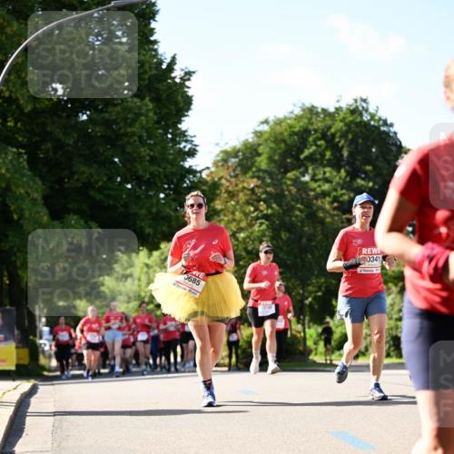08.06.2024 - REWE Women's Run Dr. Thomas Lammeyer http://msf.ph/oto/6244177 09.06.2024 09:20:18 Laufen 0685, 0341 meine-sportfotos.de