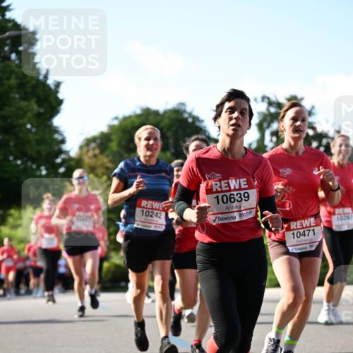 08.06.2024 - REWE Women's Run Dr. Thomas Lammeyer http://msf.ph/oto/6244276 09.06.2024 09:20:30 Laufen 10242, 10639, 10471, 10287 meine-sportfotos.de