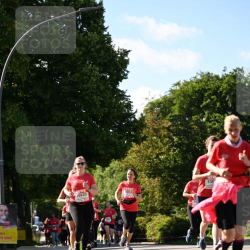 08.06.2024 - REWE Women's Run Dr. Thomas Lammeyer http://msf.ph/oto/6244500 09.06.2024 09:20:56 Laufen 10233, 1022, 106 meine-sportfotos.de
