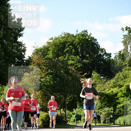 08.06.2024 - REWE Women's Run Dr. Thomas Lammeyer http://msf.ph/oto/6244597 09.06.2024 09:21:08 Laufen 1000, 10395, 10574, 1016 meine-sportfotos.de