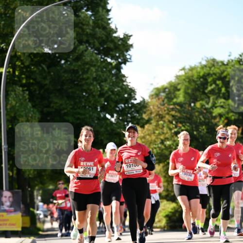 08.06.2024 - REWE Women's Run Dr. Thomas Lammeyer http://msf.ph/oto/6244638 09.06.2024 09:21:12 Laufen 61, 10077, 10100, 10036, 0670 meine-sportfotos.de