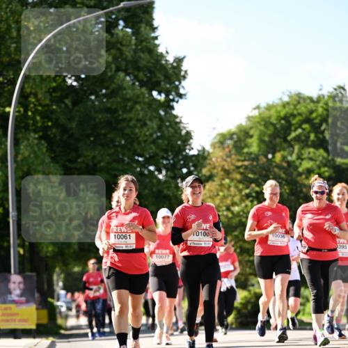 08.06.2024 - REWE Women's Run Dr. Thomas Lammeyer http://msf.ph/oto/6244640 09.06.2024 09:21:12 Laufen 10061, 10077, 0100, 10036, 395 meine-sportfotos.de