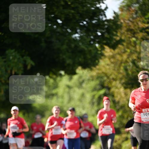 08.06.2024 - REWE Women's Run Dr. Thomas Lammeyer http://msf.ph/oto/6244751 09.06.2024 09:21:38 Laufen 101 meine-sportfotos.de