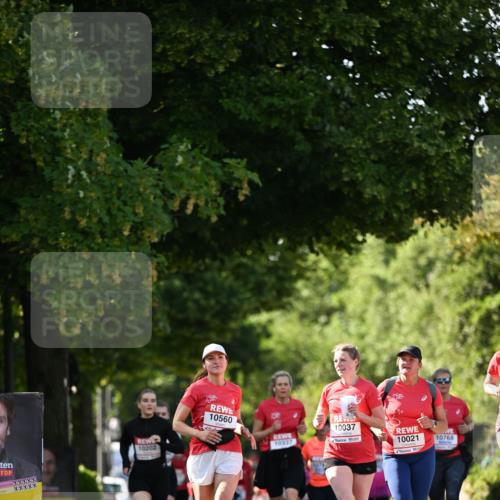 08.06.2024 - REWE Women's Run Dr. Thomas Lammeyer http://msf.ph/oto/6244754 09.06.2024 09:21:38 Laufen 1, 10202, 10560, 10037, 10337, 10021, 10768 meine-sportfotos.de