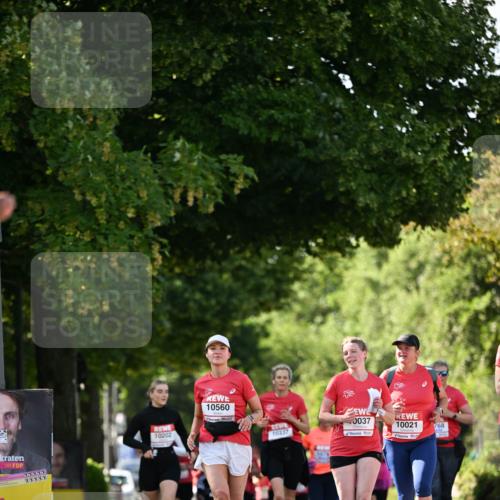 08.06.2024 - REWE Women's Run Dr. Thomas Lammeyer http://msf.ph/oto/6244756 09.06.2024 09:21:39 Laufen 1, 10560, 10202, 10337, 0037, 10, 6, 10021, 768 meine-sportfotos.de