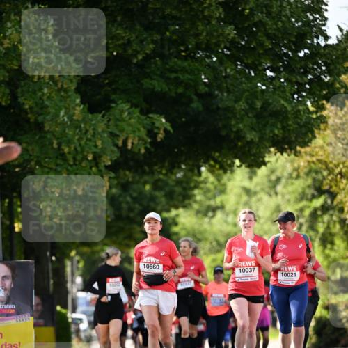 08.06.2024 - REWE Women's Run Dr. Thomas Lammeyer http://msf.ph/oto/6244762 09.06.2024 09:21:39 Laufen 1, 10202, 10560, 10337, 10037, 10021 meine-sportfotos.de
