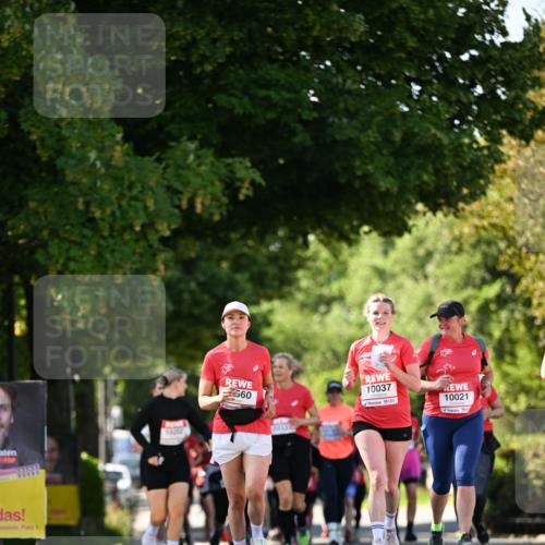 08.06.2024 - REWE Women's Run Dr. Thomas Lammeyer http://msf.ph/oto/6244763 09.06.2024 09:21:40 Laufen 33333, 33333, 1, 560, 10037, 10021 meine-sportfotos.de