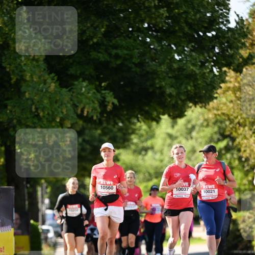 08.06.2024 - REWE Women's Run Dr. Thomas Lammeyer http://msf.ph/oto/6244766 09.06.2024 09:21:40 Laufen 11111, 1, 10202, 10560, 10337, 10037, 10021 meine-sportfotos.de