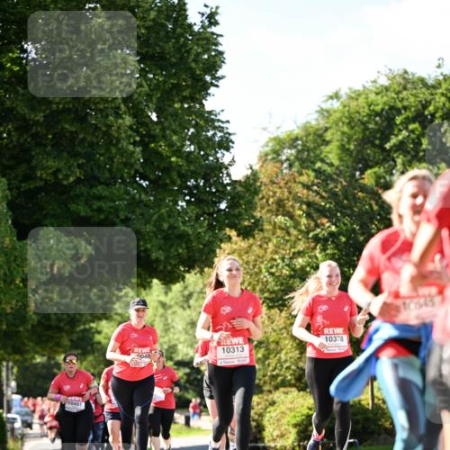08.06.2024 - REWE Women's Run Dr. Thomas Lammeyer http://msf.ph/oto/6244876 09.06.2024 09:21:59 Laufen 10491, 10378, 0040, 10313, 105, 45 meine-sportfotos.de
