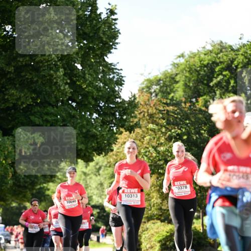 08.06.2024 - REWE Women's Run Dr. Thomas Lammeyer http://msf.ph/oto/6244878 09.06.2024 09:21:59 Laufen 491, 10040, 881, 10313, 10378 meine-sportfotos.de