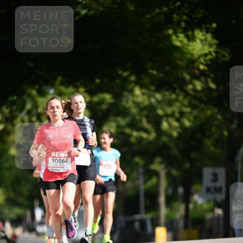 08.06.2024 - REWE Women's Run Dr. Thomas Lammeyer http://msf.ph/oto/6246933 09.06.2024 09:33:25 Laufen 10564 meine-sportfotos.de