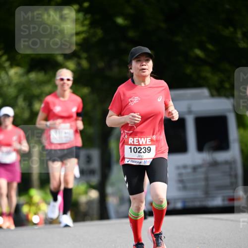 08.06.2024 - REWE Women's Run Dr. Thomas Lammeyer http://msf.ph/oto/6248582 09.06.2024 09:41:19 Laufen 10239 meine-sportfotos.de
