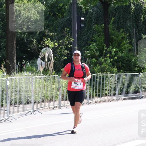 08.06.2024 - REWE Women's Run Strokosch-Dieckow http://msf.ph/oto/6257773 09.06.2024 09:52:34 Laufen 10216 meine-sportfotos.de