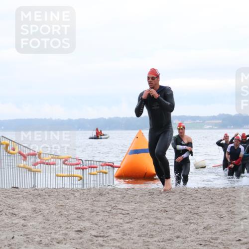 04.08.2024 - OstseeMan Strokosch-Dieckow http://msf.ph/oto/6676444 04.08.2024 07:50:31 Schwimmen 5, 26, 28, 72, 83, 116, 120, 141, 161 meine-sportfotos.de