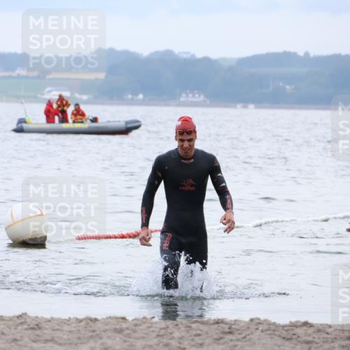 04.08.2024 - OstseeMan Strokosch-Dieckow http://msf.ph/oto/6676480 04.08.2024 07:51:32 Schwimmen 134 meine-sportfotos.de
