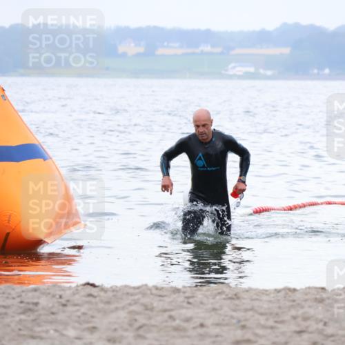04.08.2024 - OstseeMan Strokosch-Dieckow http://msf.ph/oto/6676801 04.08.2024 07:50:01 Schwimmen 28, 60 meine-sportfotos.de