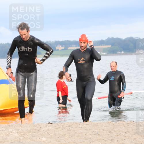 04.08.2024 - OstseeMan Strokosch-Dieckow http://msf.ph/oto/6677180 04.08.2024 07:58:37 Schwimmen 2, 2, 31, 32, 32, 194, 194 meine-sportfotos.de