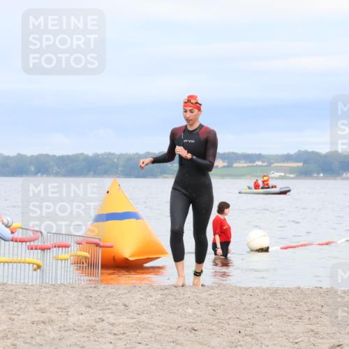 04.08.2024 - OstseeMan Strokosch-Dieckow http://msf.ph/oto/6677223 04.08.2024 08:00:18 Schwimmen 178, 1116 meine-sportfotos.de