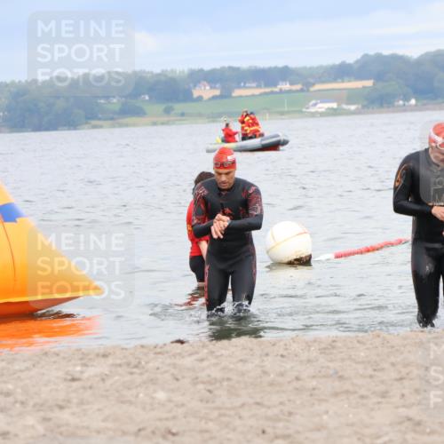 04.08.2024 - OstseeMan Strokosch-Dieckow http://msf.ph/oto/6677246 04.08.2024 08:00:44 Schwimmen 30, 30, 65, 195, 1116 meine-sportfotos.de