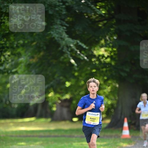25.08.2024 - 20. Blankeneser Heldenlauf Dr. Thomas Lammeyer http://msf.ph/oto/6806025 25.08.2024 10:09:32 Laufen 6459 meine-sportfotos.de