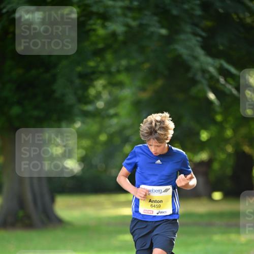 25.08.2024 - 20. Blankeneser Heldenlauf Dr. Thomas Lammeyer http://msf.ph/oto/6806037 25.08.2024 10:09:34 Laufen 6459 meine-sportfotos.de