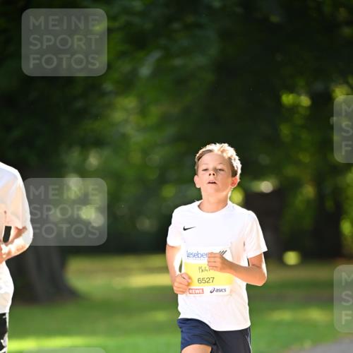 25.08.2024 - 20. Blankeneser Heldenlauf Dr. Thomas Lammeyer http://msf.ph/oto/6806120 25.08.2024 10:10:37 Laufen 6527 meine-sportfotos.de