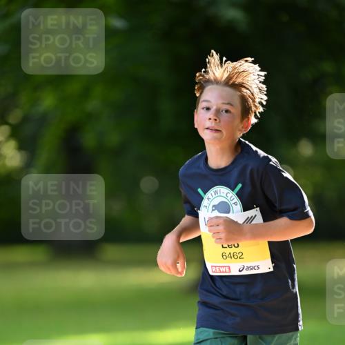 25.08.2024 - 20. Blankeneser Heldenlauf Dr. Thomas Lammeyer http://msf.ph/oto/6806453 25.08.2024 10:13:07 Laufen 3, 6462 meine-sportfotos.de