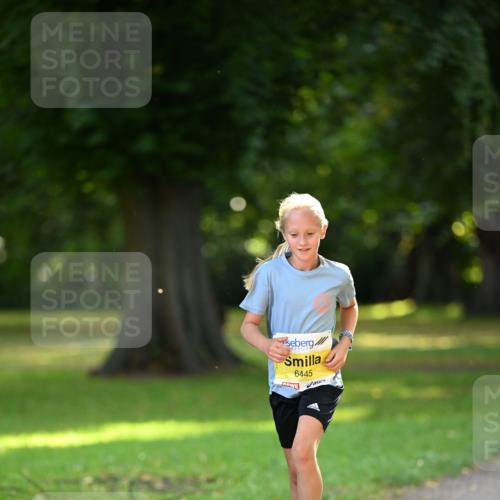 25.08.2024 - 20. Blankeneser Heldenlauf Dr. Thomas Lammeyer http://msf.ph/oto/6806670 25.08.2024 10:14:13 Laufen 6445 meine-sportfotos.de
