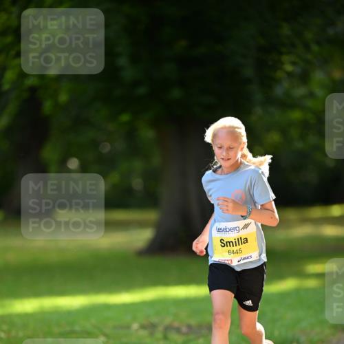25.08.2024 - 20. Blankeneser Heldenlauf Dr. Thomas Lammeyer http://msf.ph/oto/6806673 25.08.2024 10:14:13 Laufen 6445 meine-sportfotos.de
