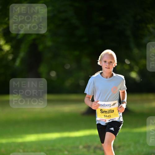 25.08.2024 - 20. Blankeneser Heldenlauf Dr. Thomas Lammeyer http://msf.ph/oto/6806675 25.08.2024 10:14:13 Laufen 6445 meine-sportfotos.de