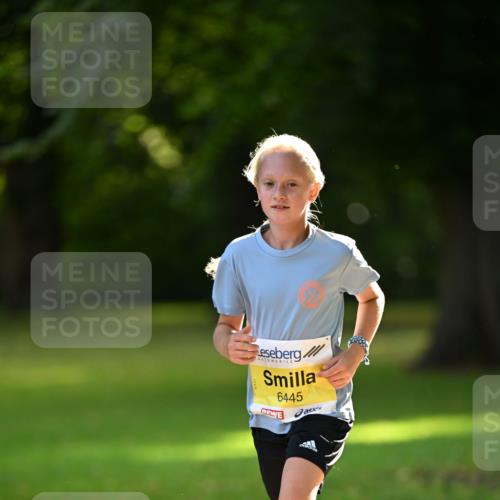 25.08.2024 - 20. Blankeneser Heldenlauf Dr. Thomas Lammeyer http://msf.ph/oto/6806680 25.08.2024 10:14:14 Laufen 6445 meine-sportfotos.de
