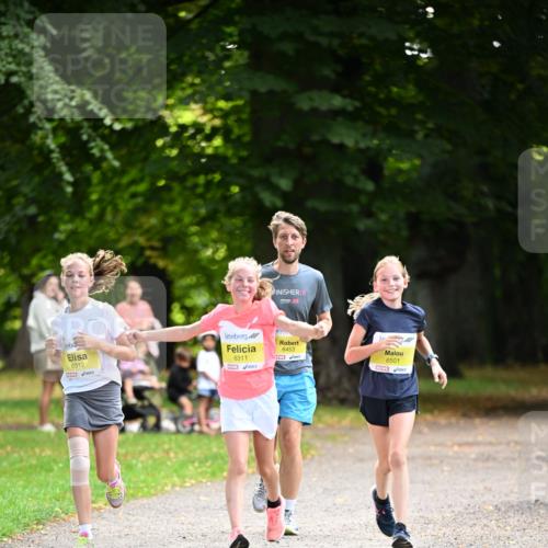 25.08.2024 - 20. Blankeneser Heldenlauf Dr. Thomas Lammeyer http://msf.ph/oto/6807172 25.08.2024 10:16:34 Laufen 18, 6312, 6311, 6453, 6501 meine-sportfotos.de