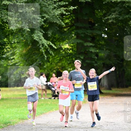 25.08.2024 - 20. Blankeneser Heldenlauf Dr. Thomas Lammeyer http://msf.ph/oto/6807180 25.08.2024 10:16:35 Laufen 8, 6453, 6312, 6311, 6501 meine-sportfotos.de