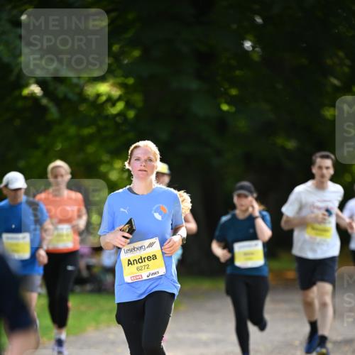 25.08.2024 - 20. Blankeneser Heldenlauf Dr. Thomas Lammeyer http://msf.ph/oto/6807639 25.08.2024 10:18:28 Laufen 6272 meine-sportfotos.de