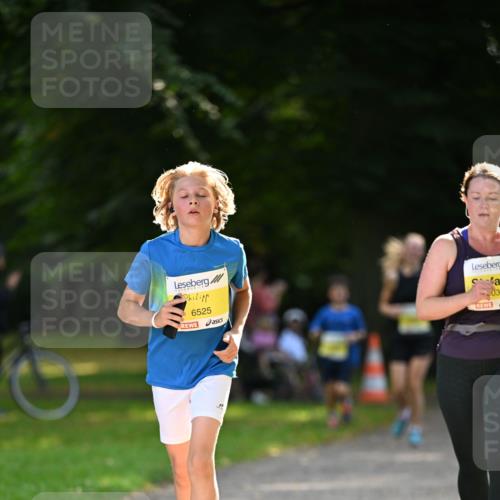 25.08.2024 - 20. Blankeneser Heldenlauf Dr. Thomas Lammeyer http://msf.ph/oto/6808197 25.08.2024 10:20:35 Laufen 6525, 039 meine-sportfotos.de