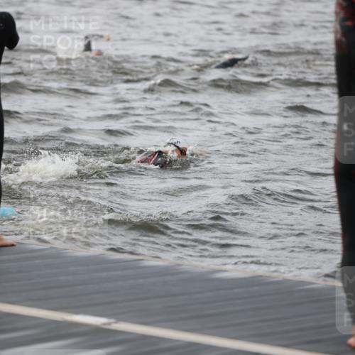 25.08.2024 - Elbe Triathlon Hamburg H.Heesch http://msf.ph/oto/6829998 25.08.2024 07:54:57 Schwimmen  meine-sportfotos.de