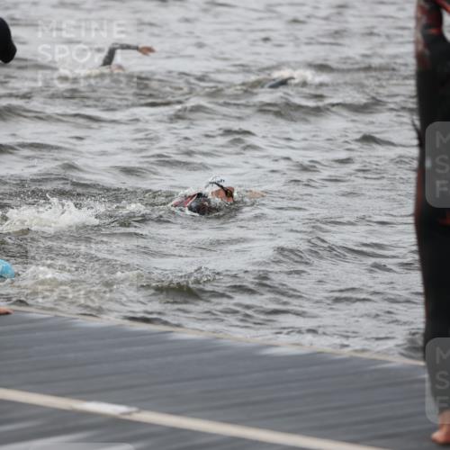 25.08.2024 - Elbe Triathlon Hamburg H.Heesch http://msf.ph/oto/6830001 25.08.2024 07:54:57 Schwimmen  meine-sportfotos.de