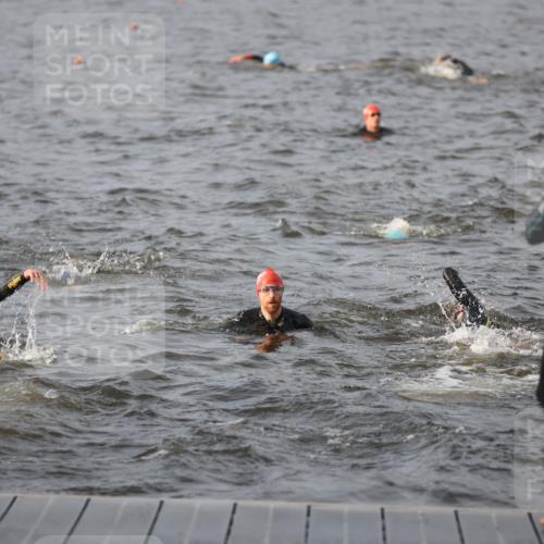 25.08.2024 - Elbe Triathlon Hamburg H.Heesch http://msf.ph/oto/6830120 25.08.2024 07:56:10 Schwimmen  meine-sportfotos.de