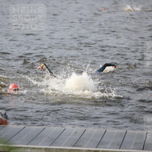 25.08.2024 - Elbe Triathlon Hamburg H.Heesch http://msf.ph/oto/6830153 25.08.2024 07:56:11 Schwimmen  meine-sportfotos.de