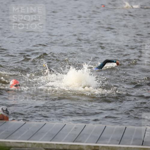 25.08.2024 - Elbe Triathlon Hamburg H.Heesch http://msf.ph/oto/6830156 25.08.2024 07:56:11 Schwimmen  meine-sportfotos.de