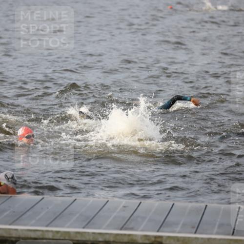 25.08.2024 - Elbe Triathlon Hamburg H.Heesch http://msf.ph/oto/6830161 25.08.2024 07:56:11 Schwimmen  meine-sportfotos.de