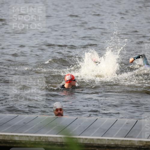25.08.2024 - Elbe Triathlon Hamburg H.Heesch http://msf.ph/oto/6830168 25.08.2024 07:56:12 Schwimmen  meine-sportfotos.de