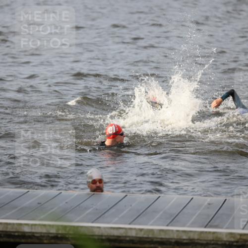 25.08.2024 - Elbe Triathlon Hamburg H.Heesch http://msf.ph/oto/6830171 25.08.2024 07:56:12 Schwimmen  meine-sportfotos.de