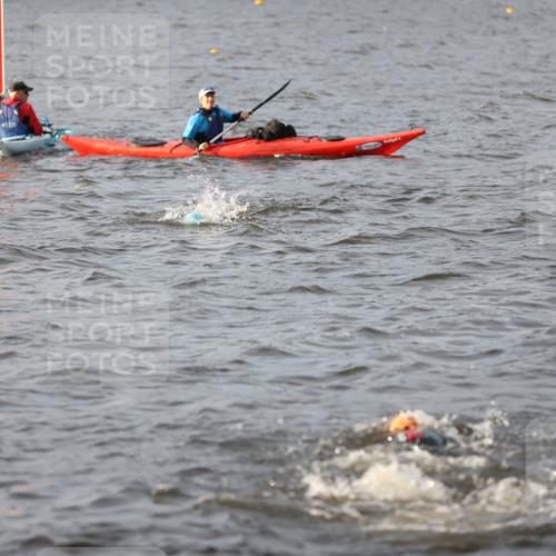 25.08.2024 - Elbe Triathlon Hamburg H.Heesch http://msf.ph/oto/6830318 25.08.2024 07:56:30 Schwimmen  meine-sportfotos.de