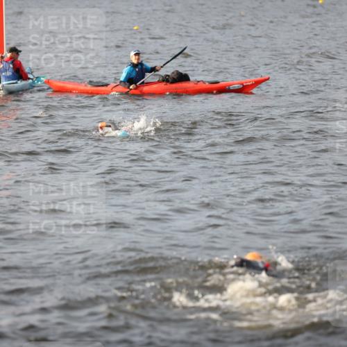 25.08.2024 - Elbe Triathlon Hamburg H.Heesch http://msf.ph/oto/6830331 25.08.2024 07:56:30 Schwimmen  meine-sportfotos.de
