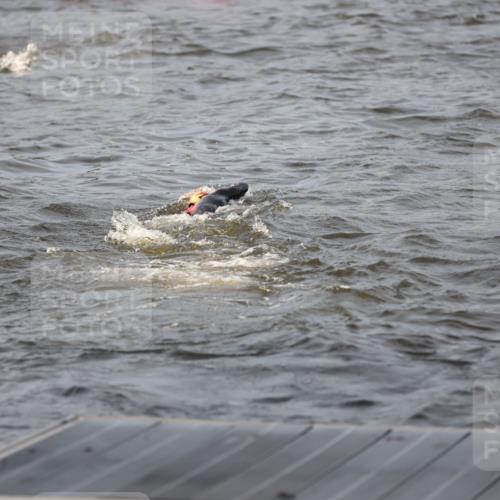 25.08.2024 - Elbe Triathlon Hamburg H.Heesch http://msf.ph/oto/6830336 25.08.2024 07:56:32 Schwimmen  meine-sportfotos.de