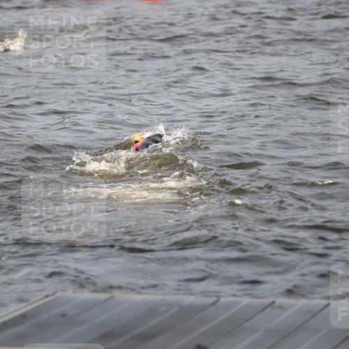 25.08.2024 - Elbe Triathlon Hamburg H.Heesch http://msf.ph/oto/6830342 25.08.2024 07:56:32 Schwimmen  meine-sportfotos.de